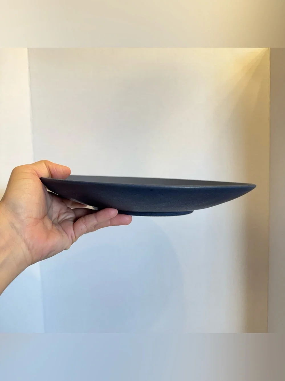 RARE Crate Barrel Craft Indigo Stoneware Coupe Dinner Plate 11